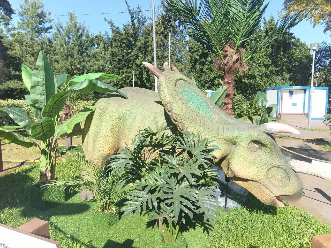 🦖 Фоторепортаж из парка Сосенки в Царицыно