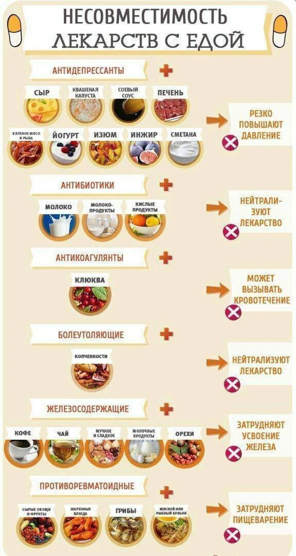 Коллега поделился прекрасной инфографикой. Все в копилочку 🐹