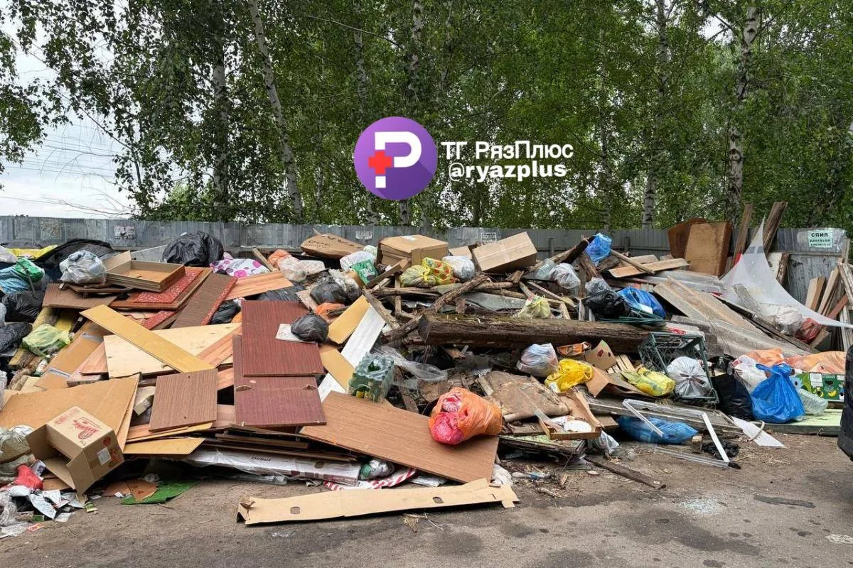 🗑 В деревне Козловка Рыбновского района на контейнерной площадке скопилась огромная свалка.

Местны