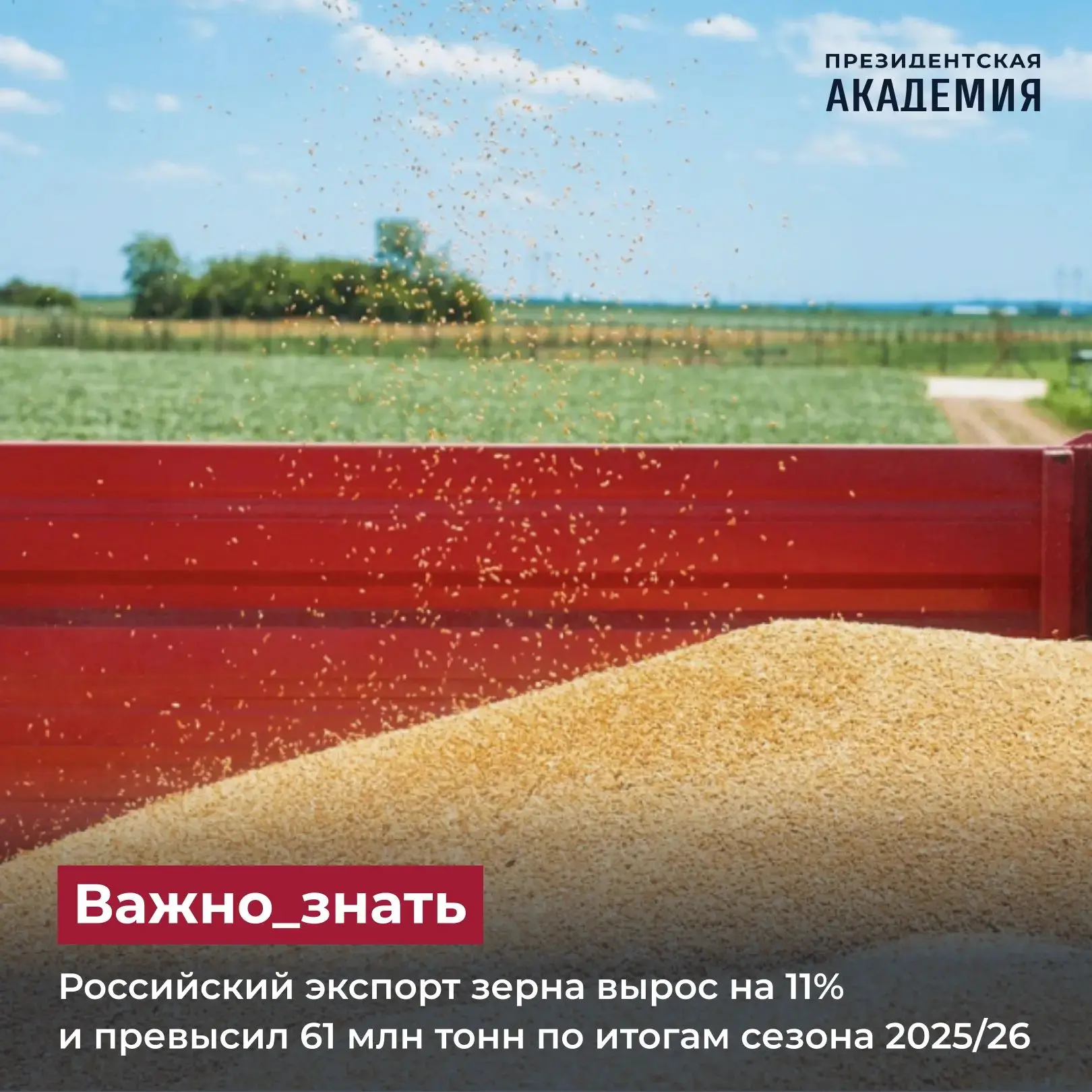 Российский экспорт зерна вырос на 11% и превысил 61 млн тонн по итогам сезона 2025/26