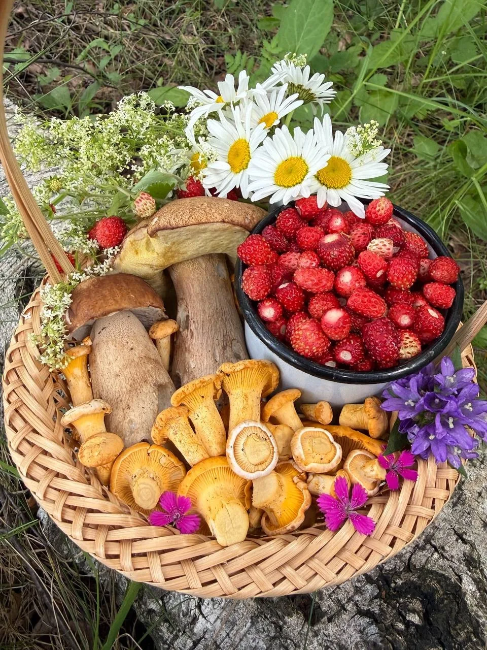 🥞Доброе воскресно-праздничное утро, друзья!
🗓На календаре -21 июня.

☀️Прогноз погоды: Сегодня в З