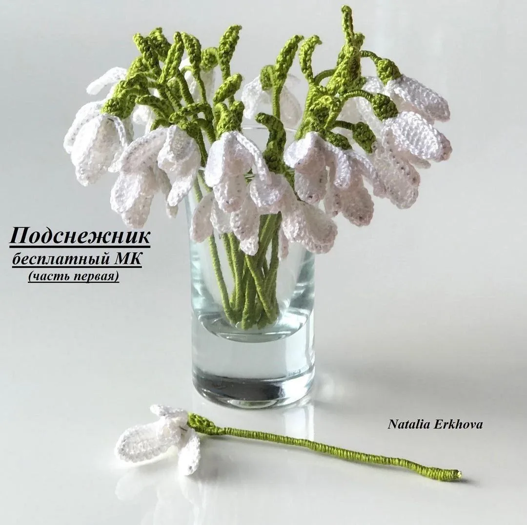 Подснежники 🤍