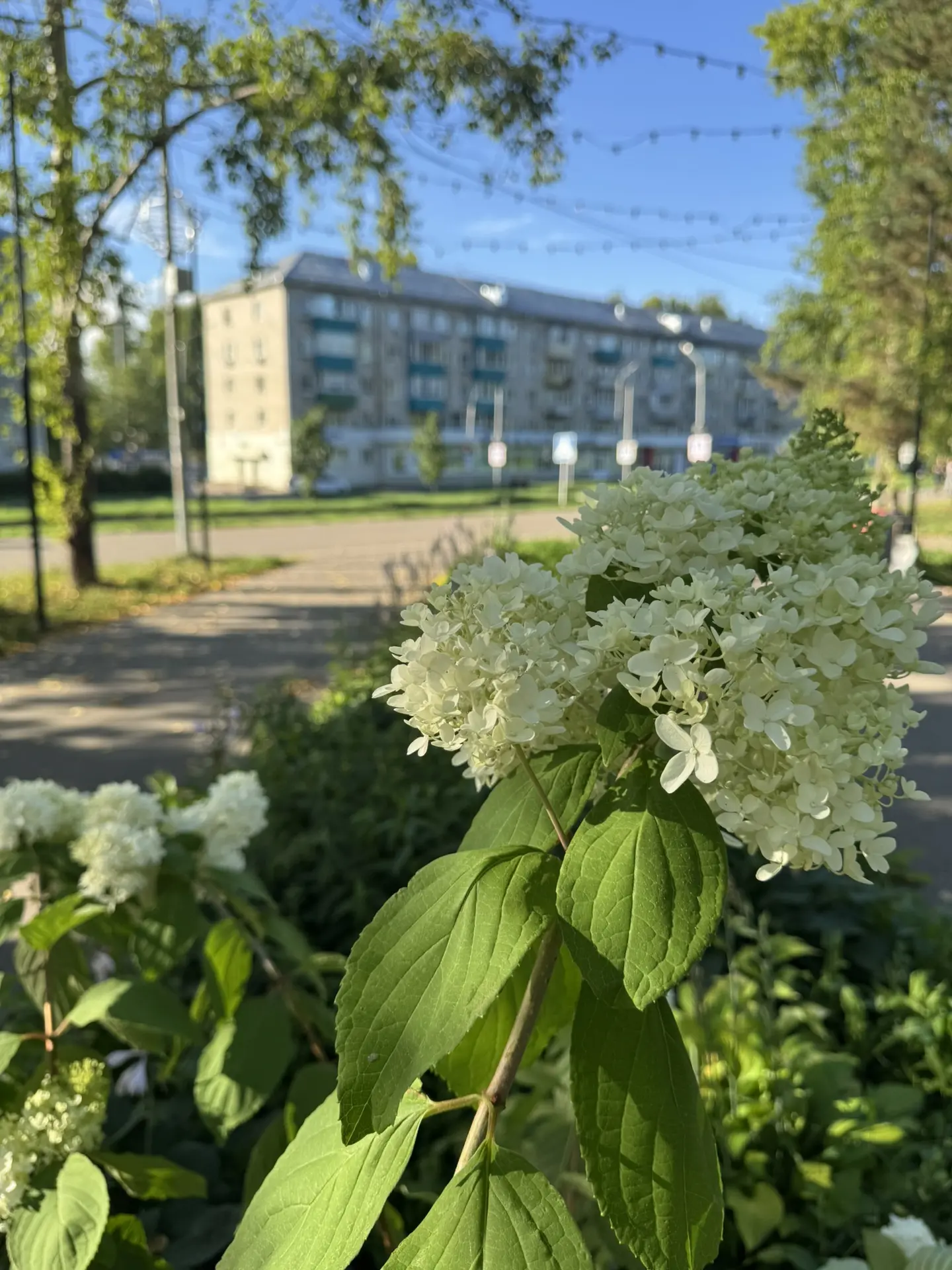Доброе утро, аМУРчики ❤️