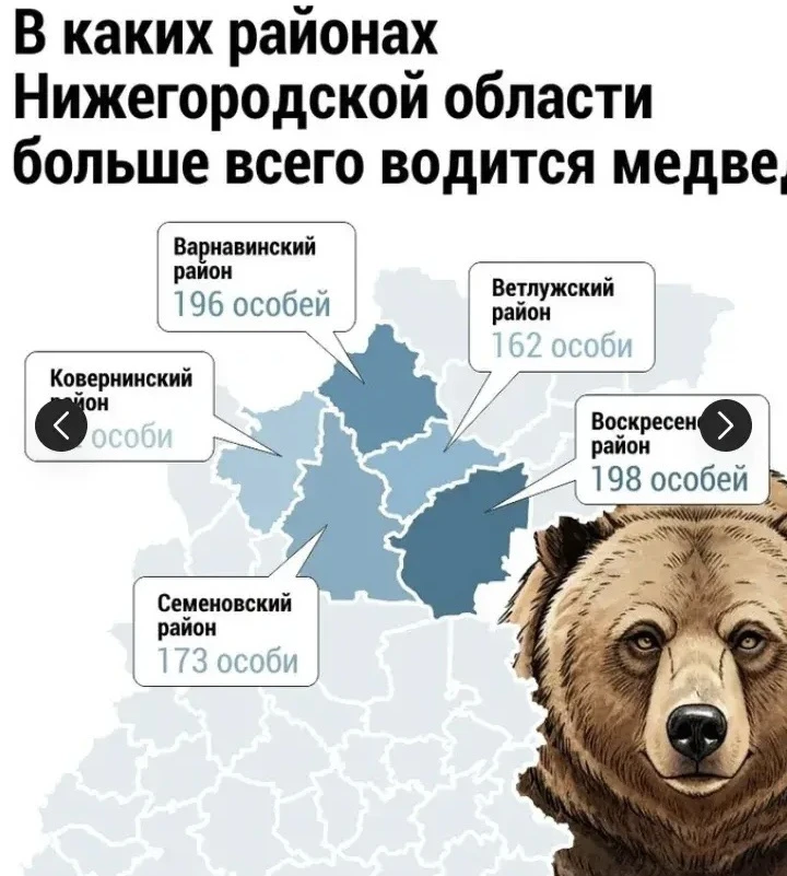 За последние пять лет бурые медведи стали чаще выходить к населенным пунктам Нижегородс...