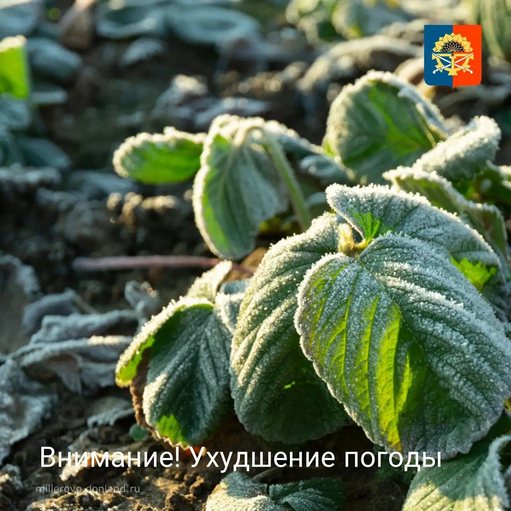 ВНИМАНИЕ!