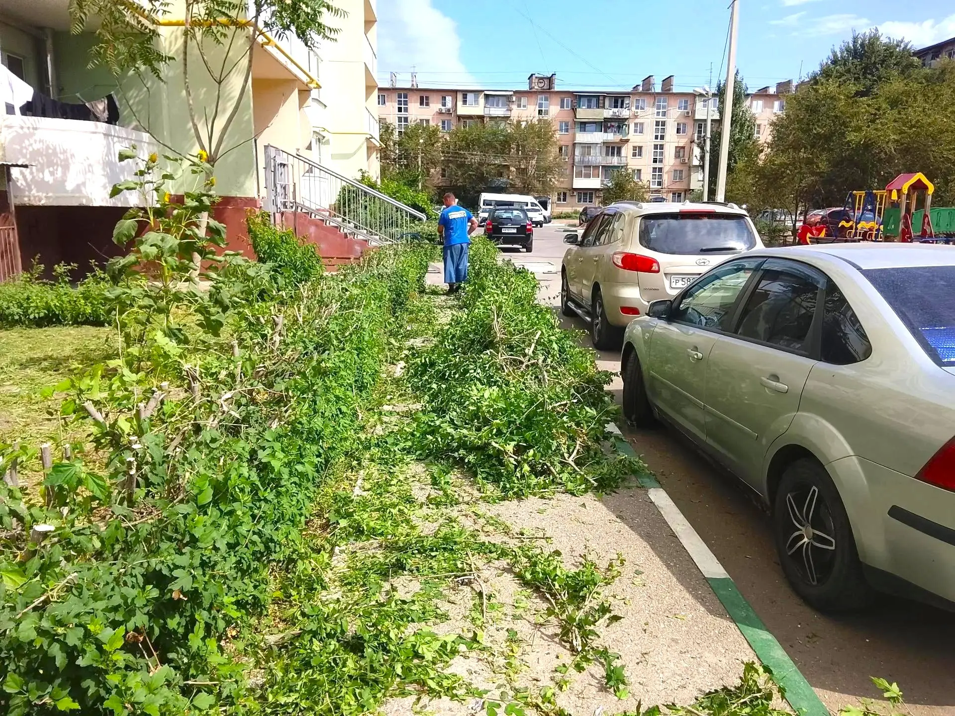 К новости «✂️ 🌿 Форма имеет значение:»