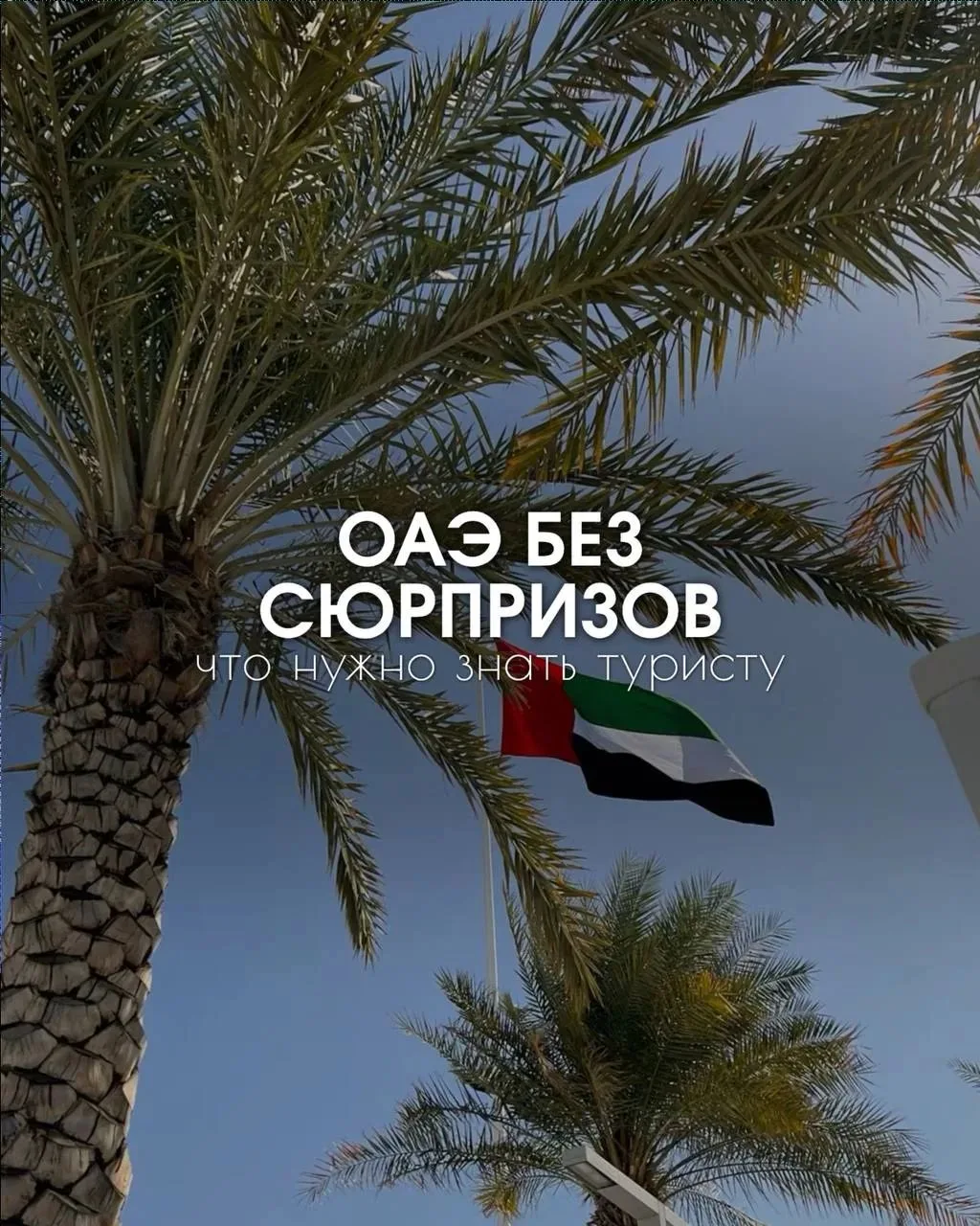 Планируете свое первое путешествие в Эмираты? 🇦🇪
