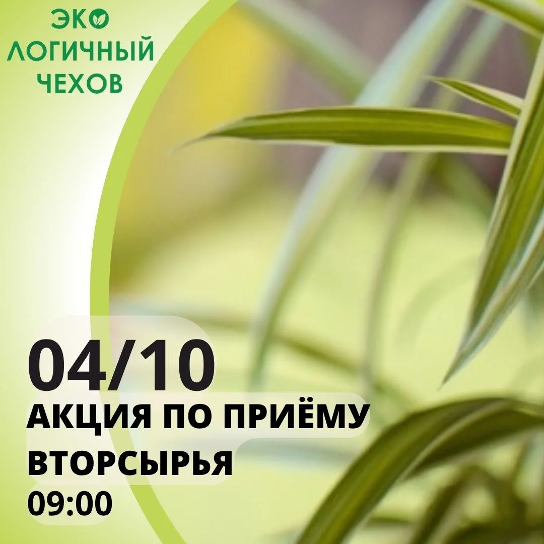 Жителей Чехова приглашают сдать вторсырье и помочь животным