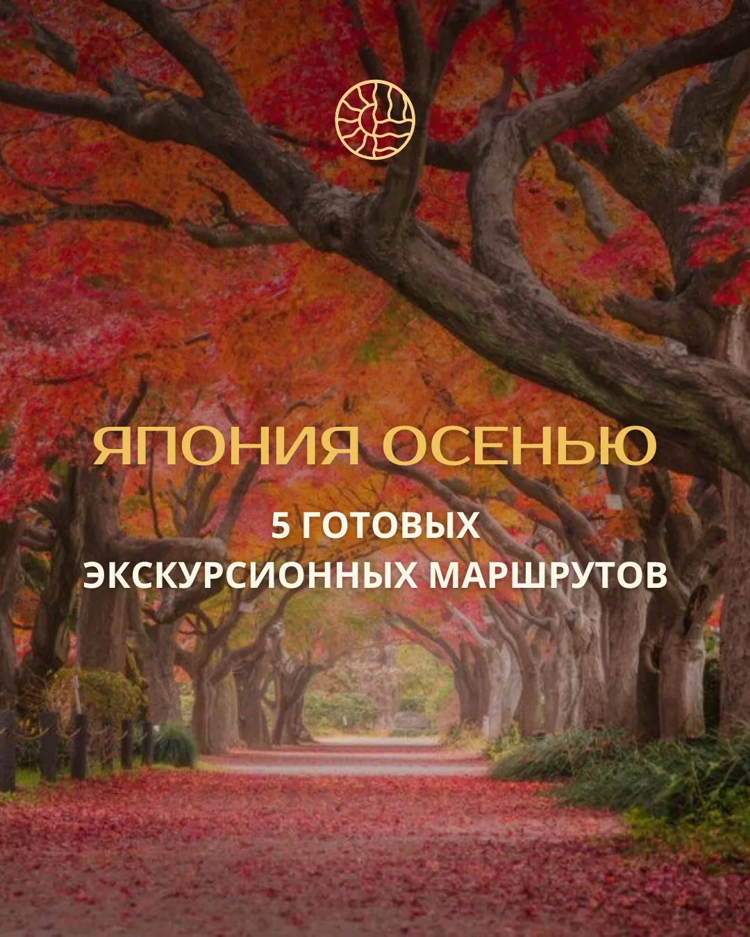 🇯🇵 ЯПОНИЯ ОСЕНЬЮ: ВЫБИРАЕМ СВОЙ МАРШРУТ 🍁