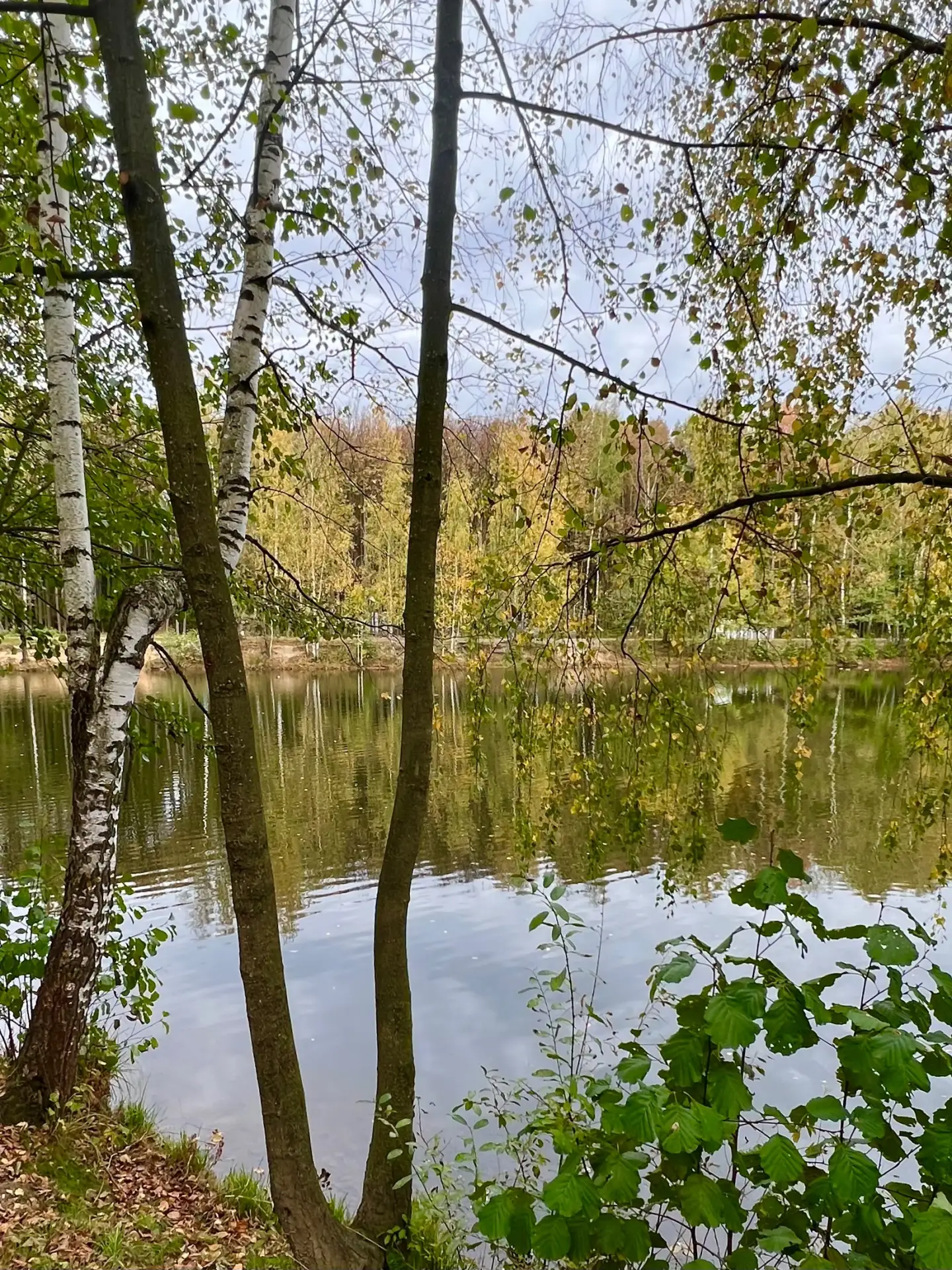 Нежность - в ленту💚
