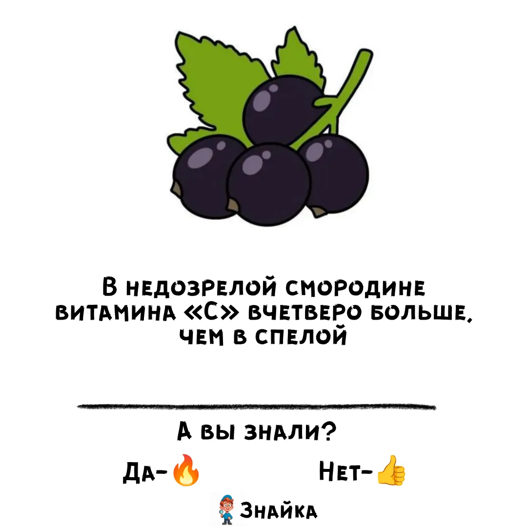 💡Знайка