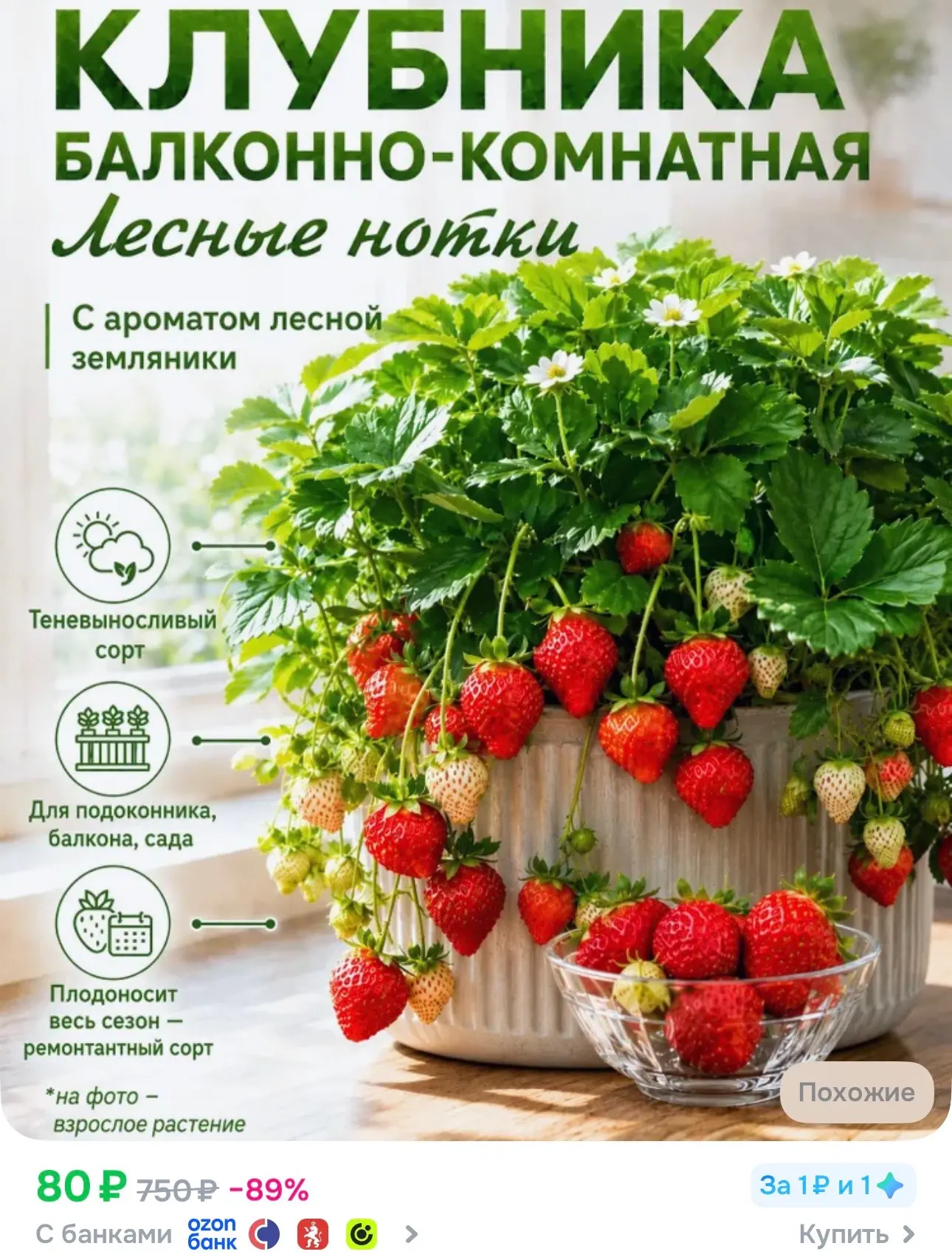 Про мою землянику  🍓 Советую, дачникам на будущий год 🔥

#дача
