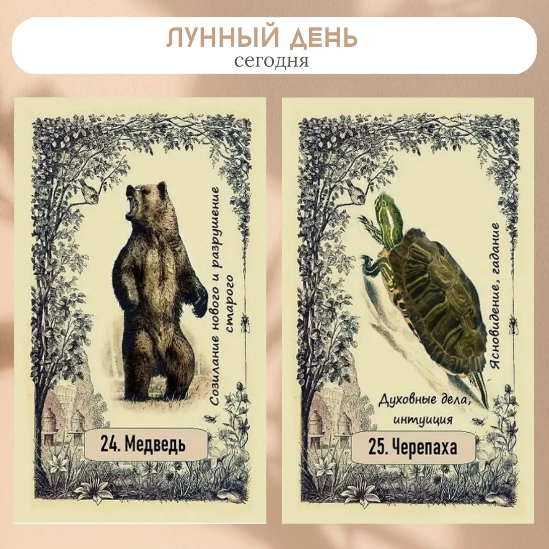 Сегодня 5 сентября 2026, 24-25 лунный день.