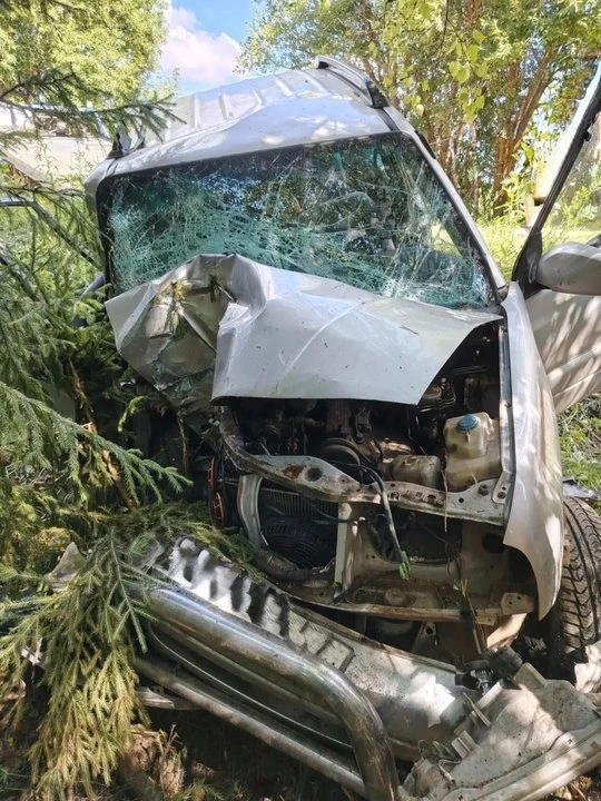 В Лебяжском районе пьяную езду остановило дерево

Фото: Госавтоинспекция Кировской области. Текст: "