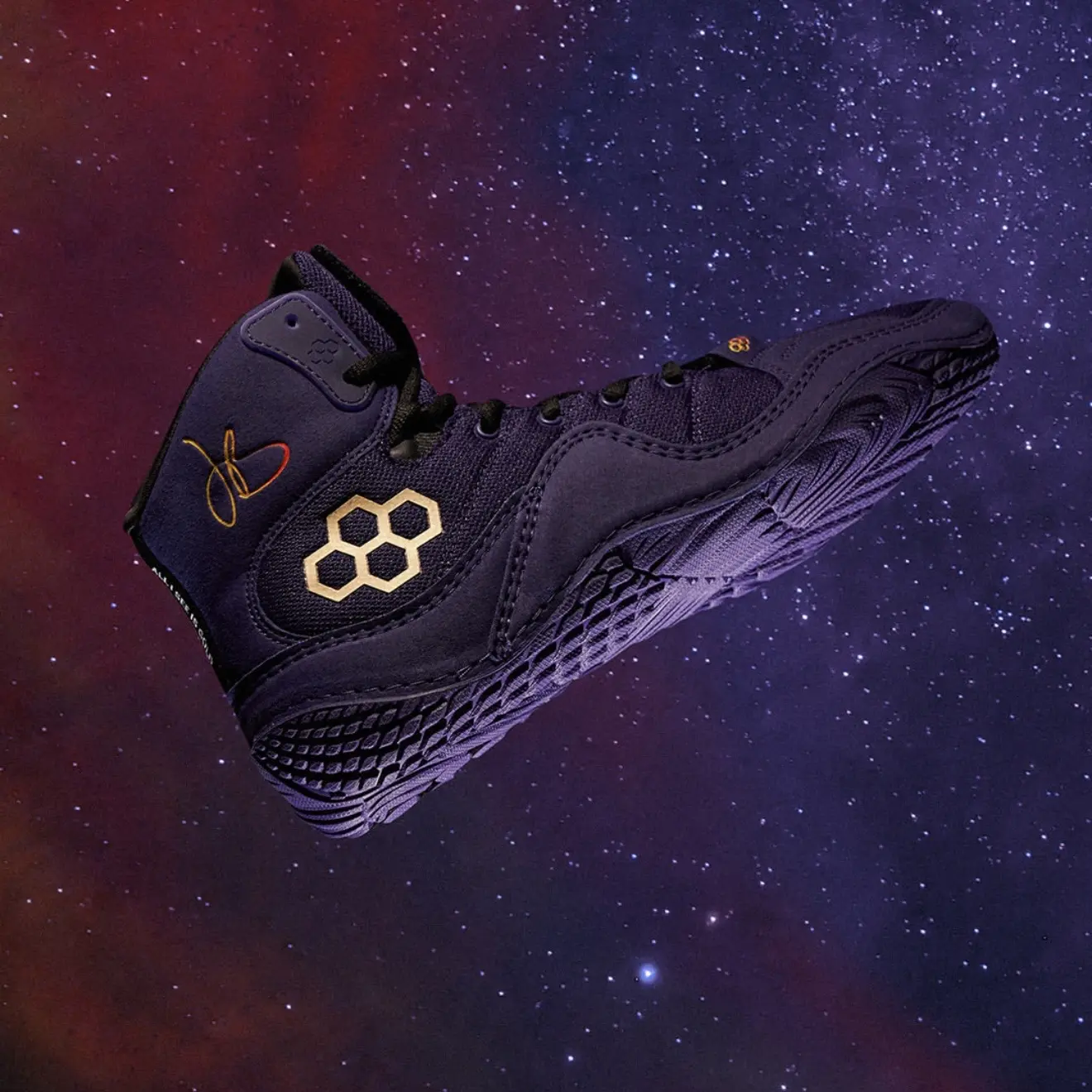 Борцовки Rudis JB1 STARDUST