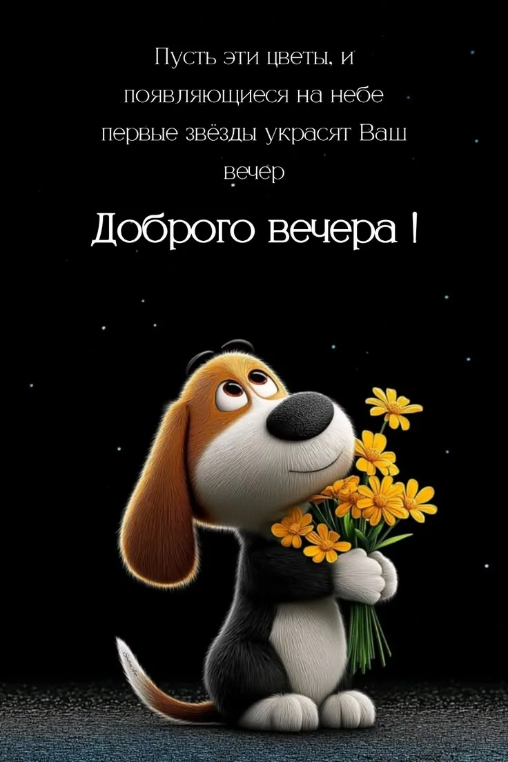 https://max.ru/invista123456