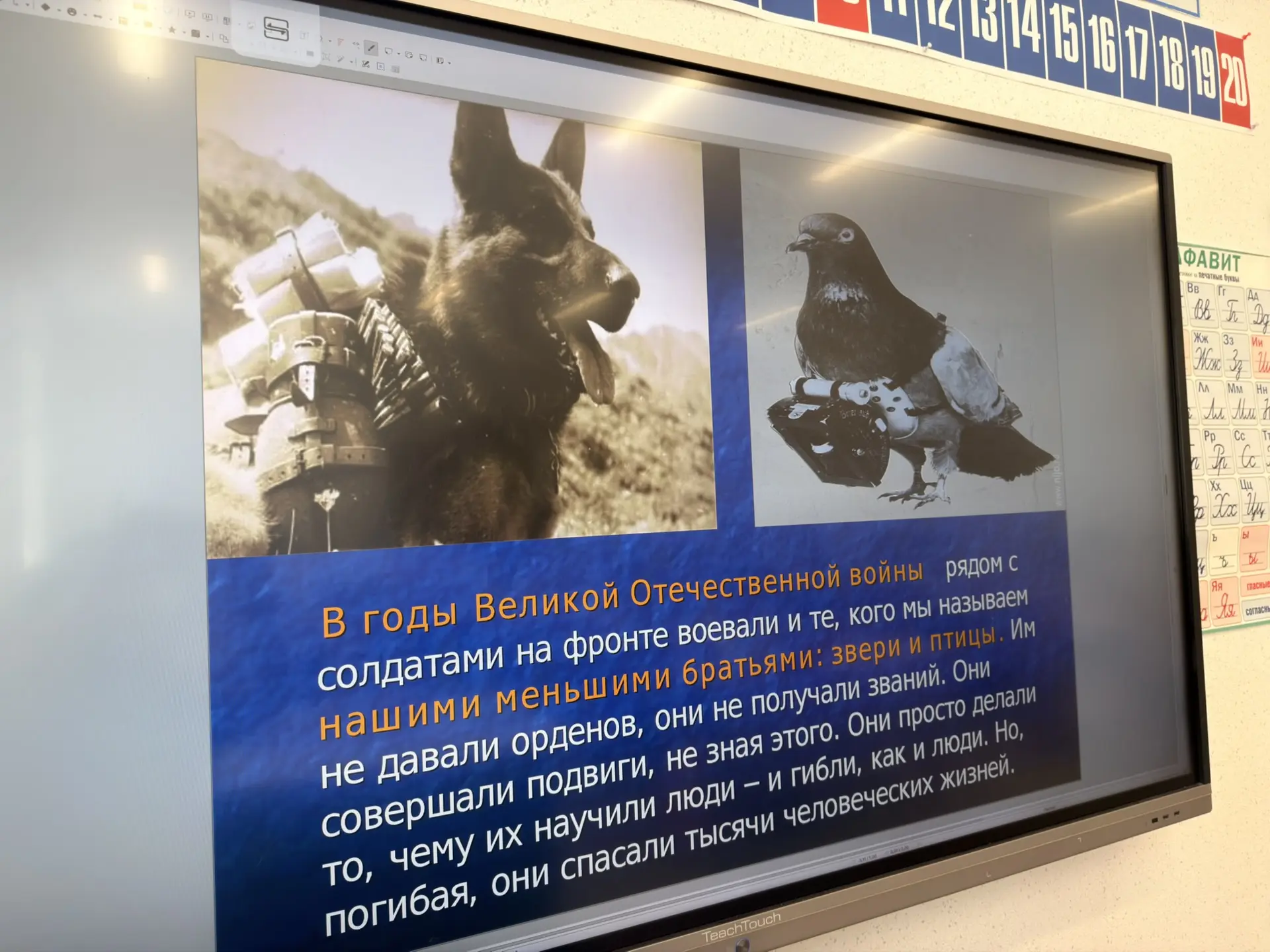 В 1 З состоялся урок Мужества, тема была очень необычная, трогательная и важная — «Животные на войне
