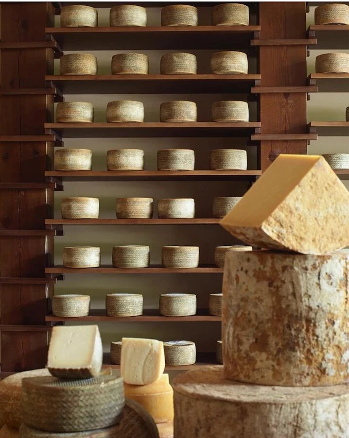 🧀 Работа, где сыр — главный герой! Стань фасовщиком в магазин Пловдив