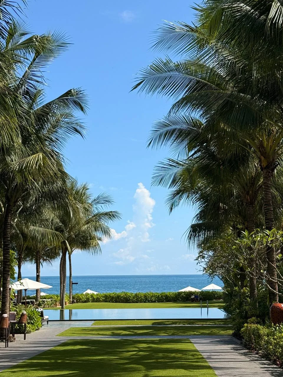 🇻🇳 ВЬЕТНАМ