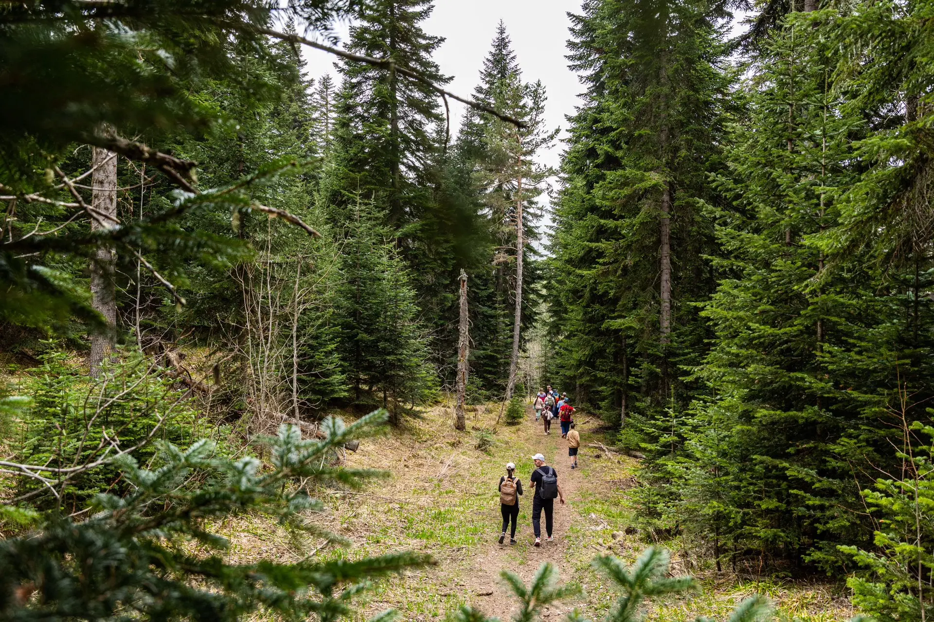 В Архызе начинается самое зеленое время года 🌿 Воздух уже прогрет солнцем и насыщен гу...