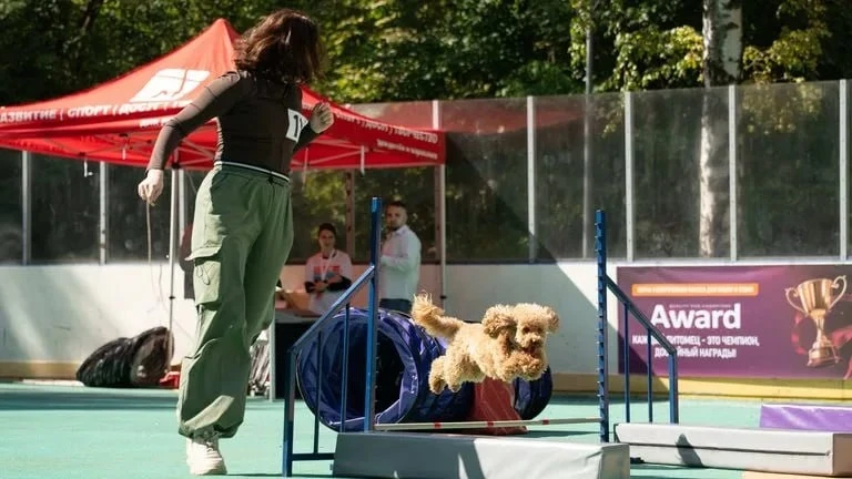 «Летний Хвостфест» собрал более 10 тысяч посетителей в Москве 🐾
