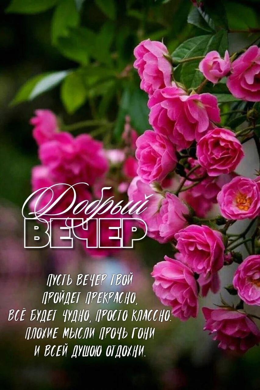 Добрый вечер!