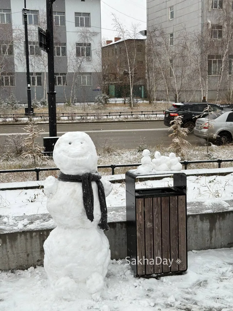 Первая семейка снеговиков в октябре. #дляsakhaday