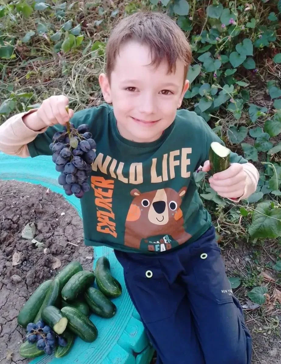 🏆 Ничепорук Давид, 1 «Б» класс — участник фотоконкурса «Мой гигантский урожай»! 🍅📸