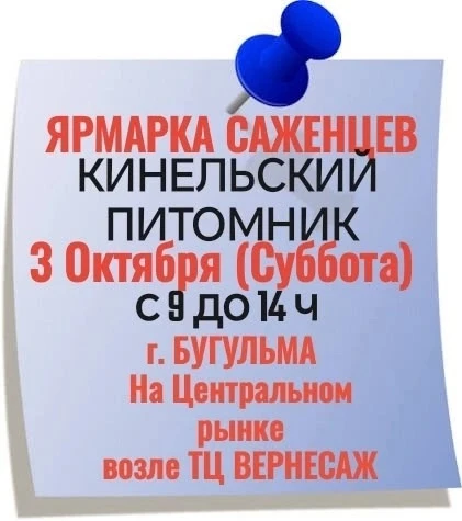 Хорошая новость для жителей  г. БУГУЛЬМА