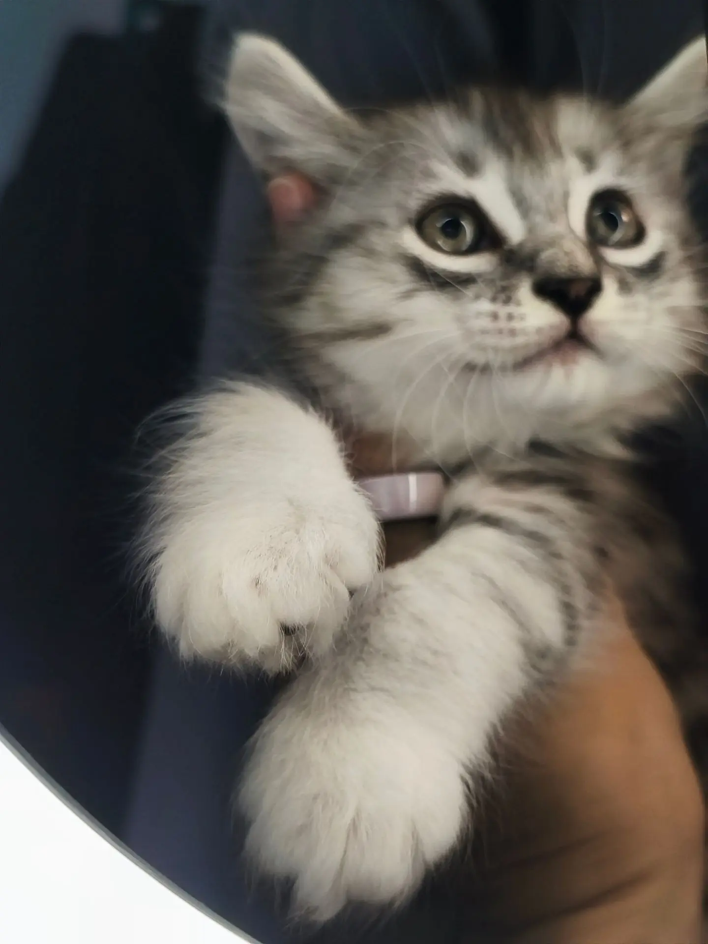 Растем, веселимся. Дети, с которыми не трудно со всеми вместе🐾 И так тоже бывает, перв...