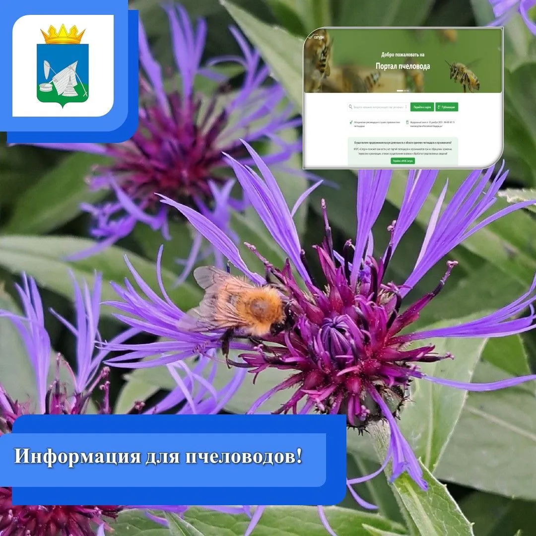 🐝Информация для пчеловодов!