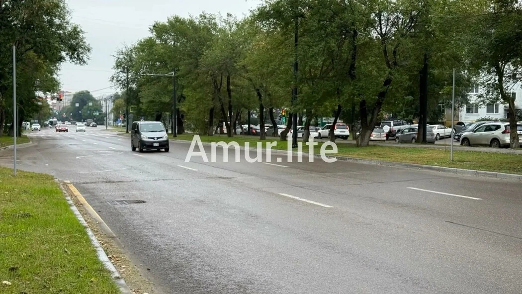 «Лежачие полицейские» на улицах Горького и Калинина в Благовещенске установили в тестов...
