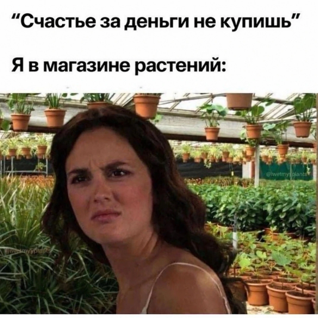 АХАХА😁😁😁ДА!🌺