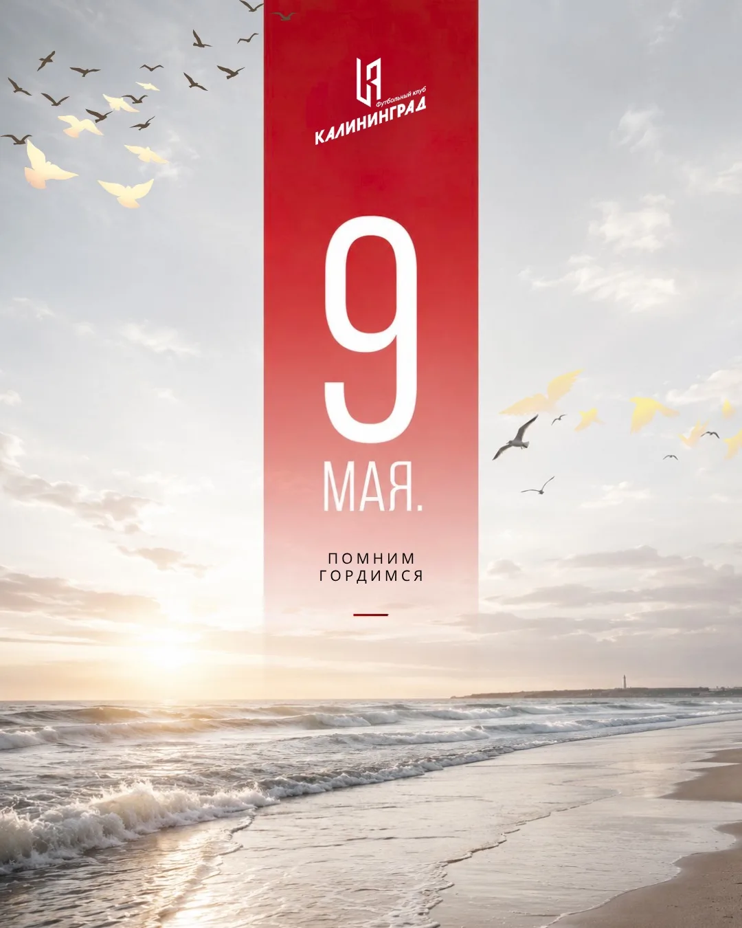 9 мая — важный день памяти🕊️
