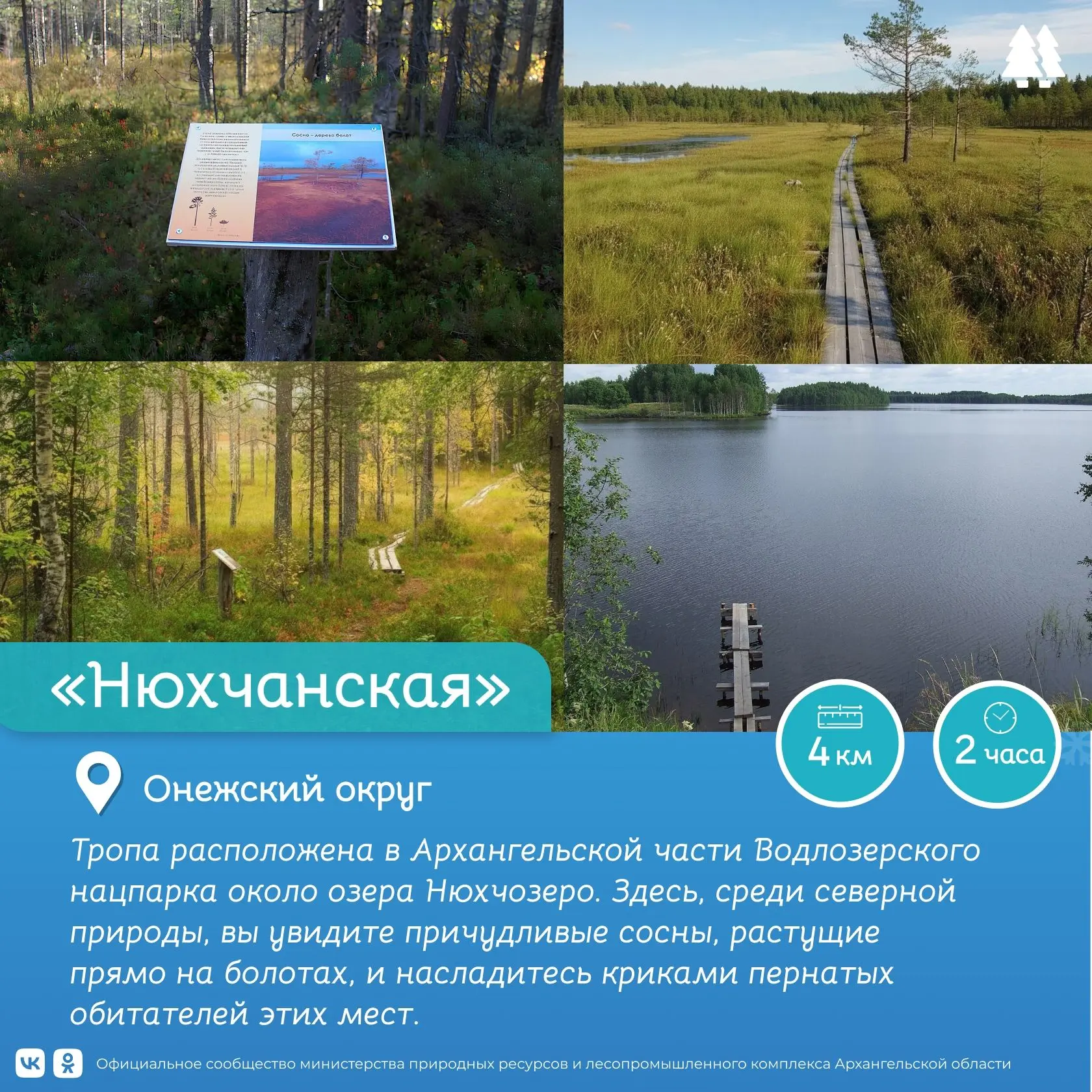 #ЗаповедныеКаникулыГлавное место притяжения – болото.
Нюхчанская тропа удивляет разнообразием водопл