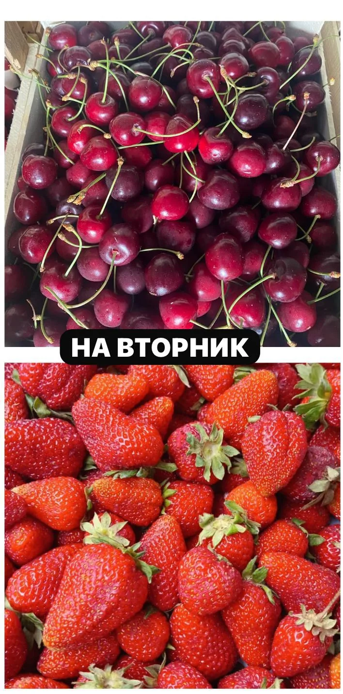 *ДОБРЫЙ ВЕЧЕР!* 🌇 🌆🌇 
*ПРИНИМАЕМ ЗАКАЗЫ  НА СВЕЖИЕ 🫐 🍒 🍓🍓 :*                        

🍓 *КЛУ