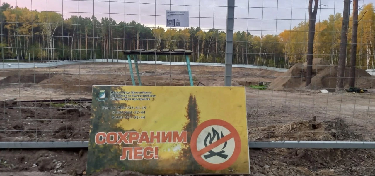 Стройку остановили, спор продолжается: что происходит с Сосновым бором?