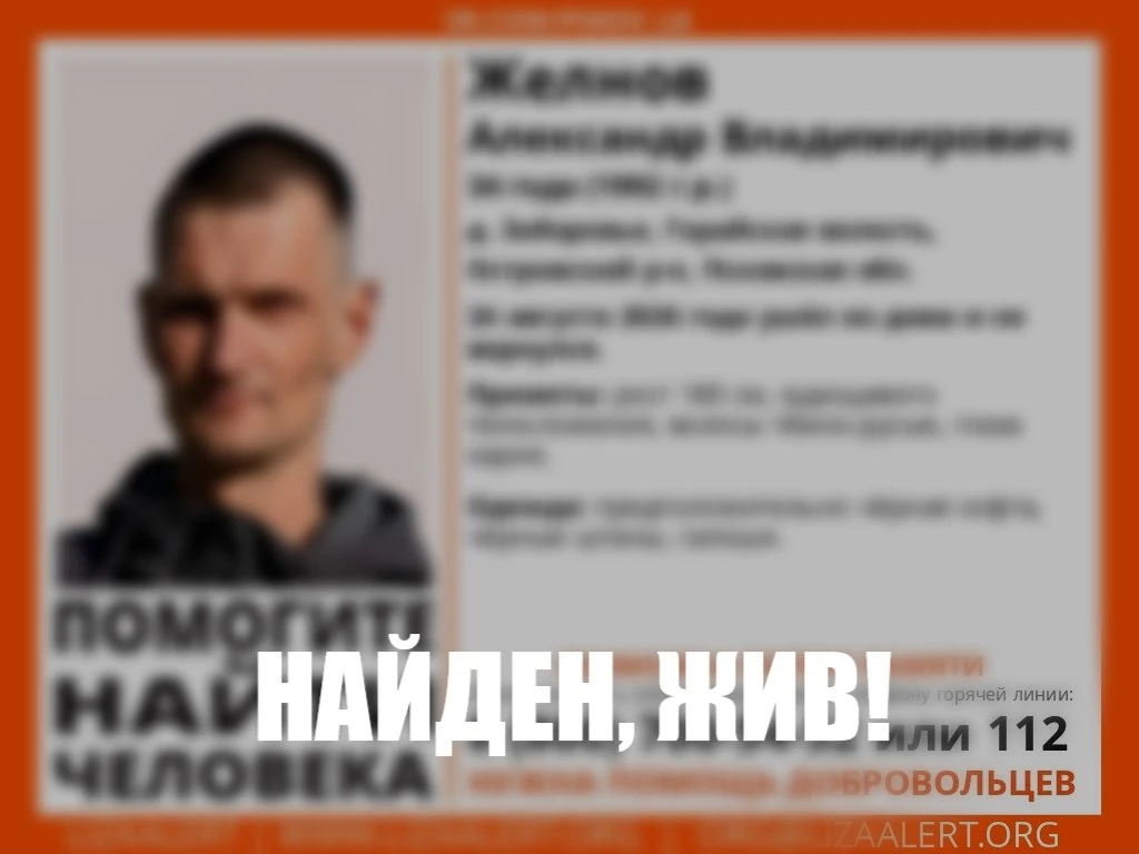 Пропавшего жителя Островского района нашли живым.