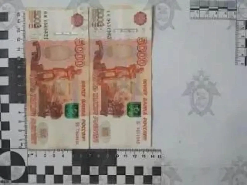 За попытку подкупить сотрудника ГИБДД житель Орловского района проведет 2 года в колонии общего режи