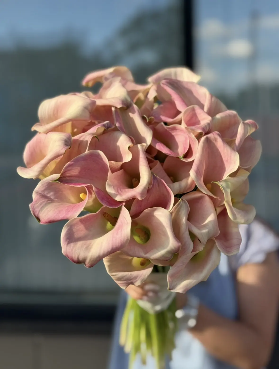 💗Каллы в наличии🤩