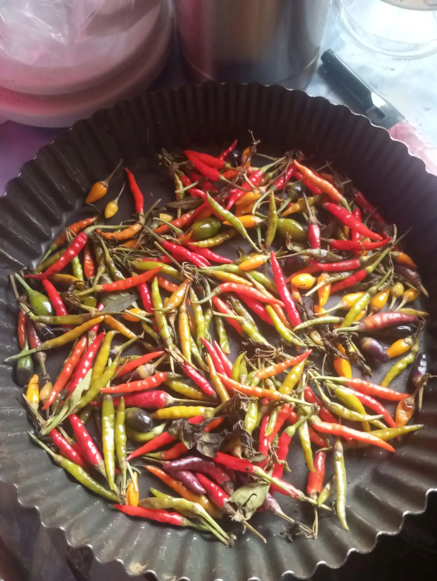 Свой перец 🌶  Красиво. Сушим.