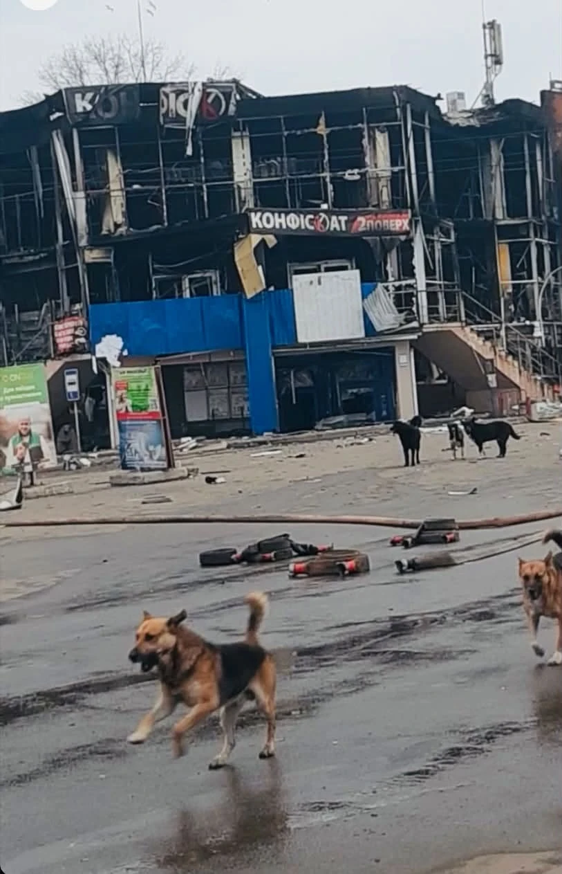 Это Синельниково — город в Днепропетровской области, который собор станет прифронтовым....