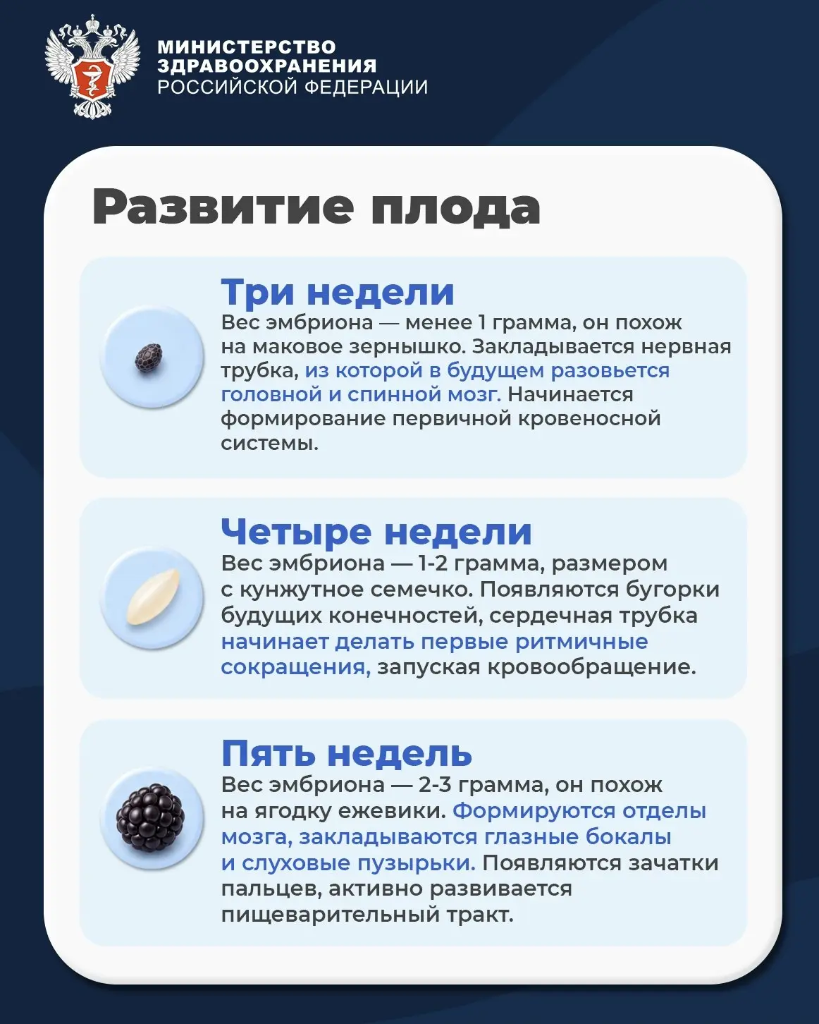 🌐 Минздрав России