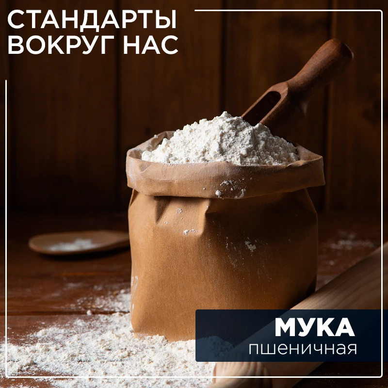 ⚡️ В рамках совместного проекта РИА "Стандарты и качество",