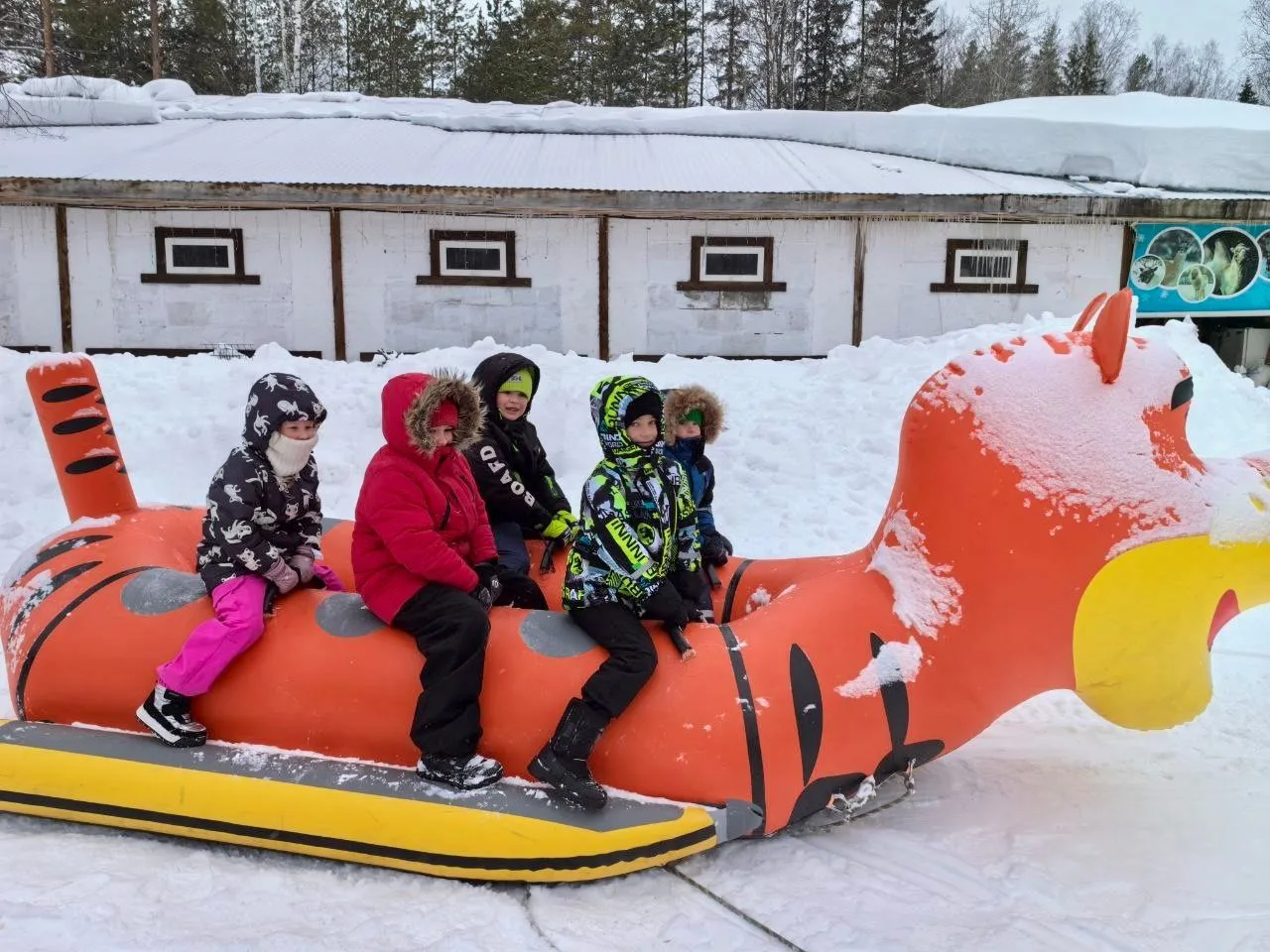Масленичные приключения по классам + суперпобедители! 🌞🛷🥇Масленица в «Гимназии №1» г. Перми — это не