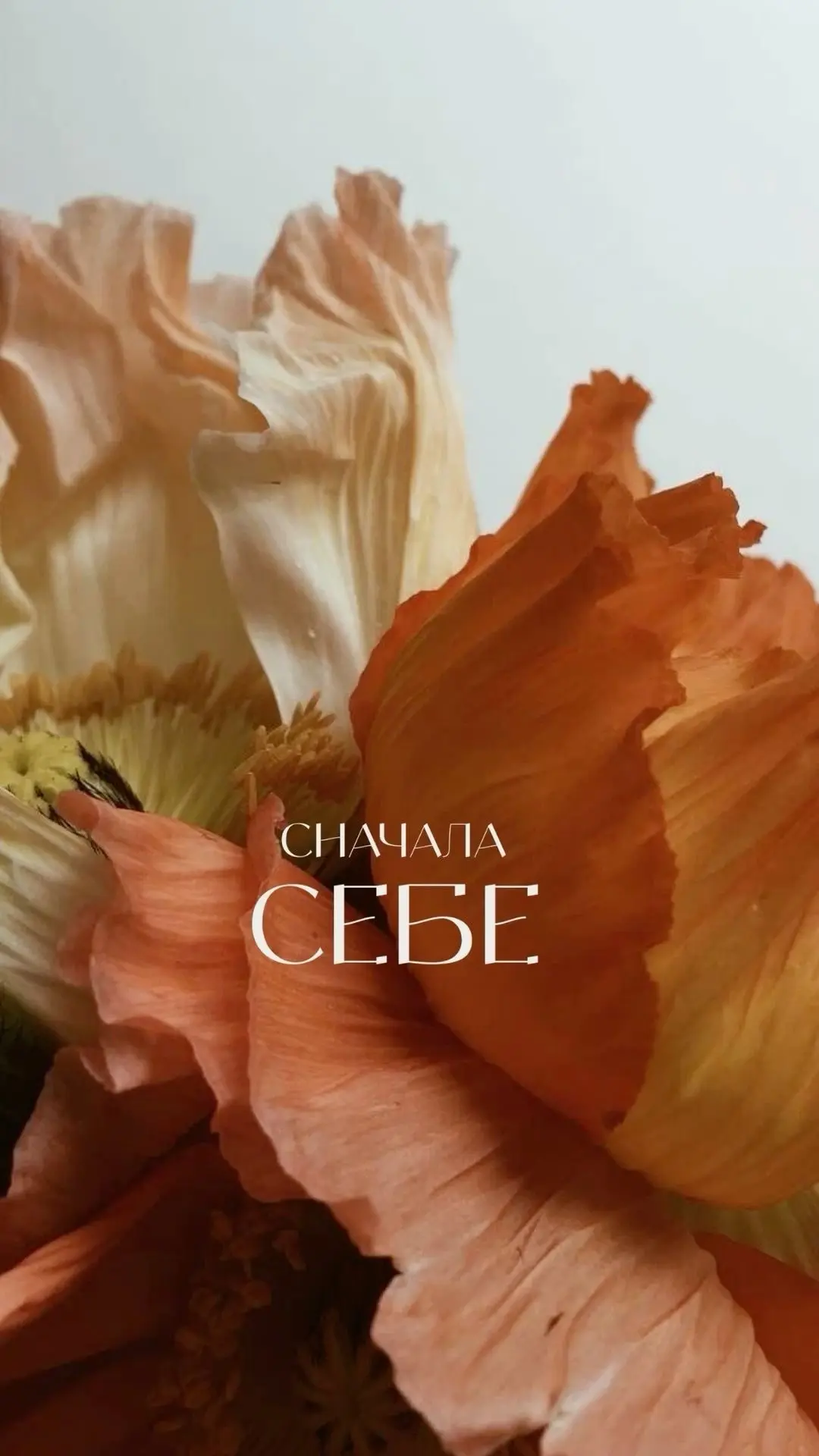 Сияй внутри. Свети снаружи!