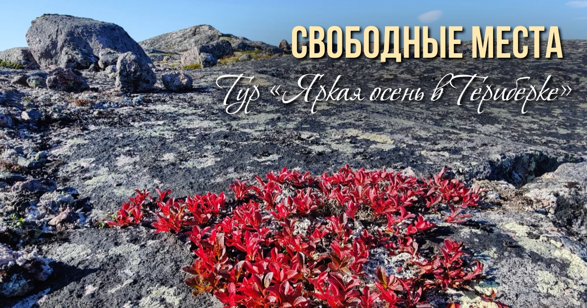 Тур «Яркая осень в Териберке»