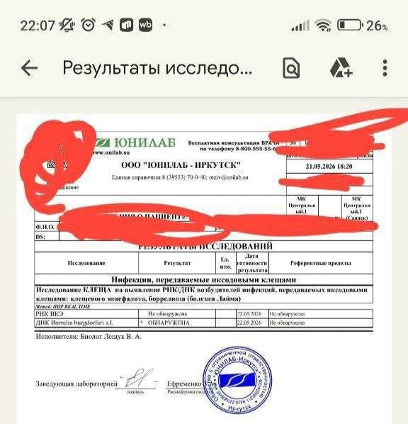 😱 В Саянске клещ с боррелиозом укусил девушку прямо в черте города  Мать пострадавшей бьет тревогу: 