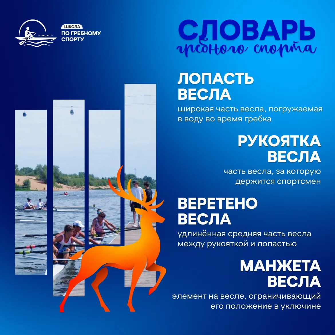 Главный инструмент гребца 🚣‍♂️

Продолжаем разбирать термины гребного спорта простыми словами - что