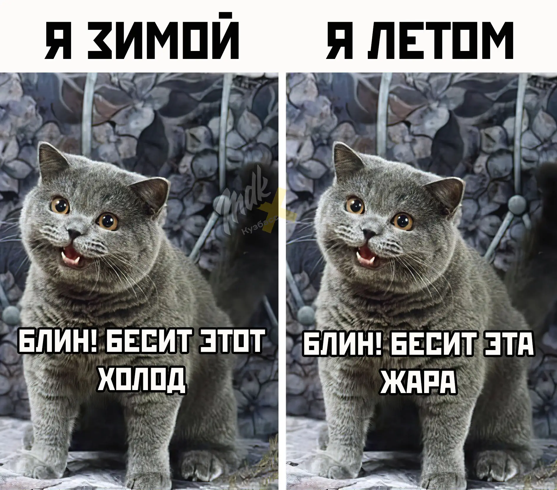У вас также?

MDK Кузбасс👉подписаться